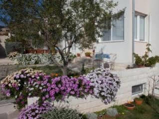 Apartman Pera